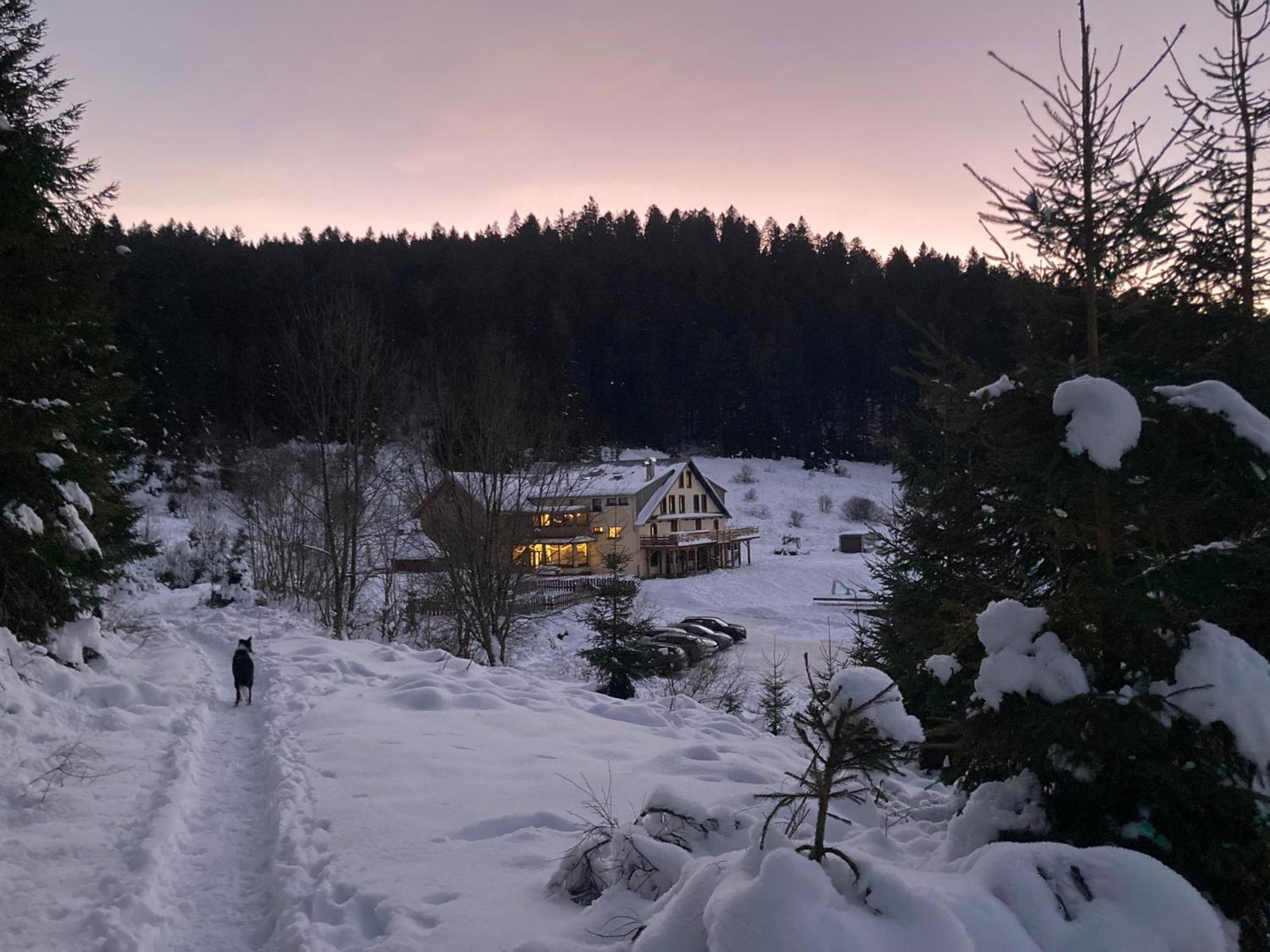 Le Perchoir Du Grand Valtin - Gite 5 Personnes - Altitude 830 Ban-sur-Meurthe-Clefcy Exterior photo